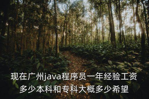 廣州程序員內推，廣州php程序員的工資怎么樣 5年從業經驗