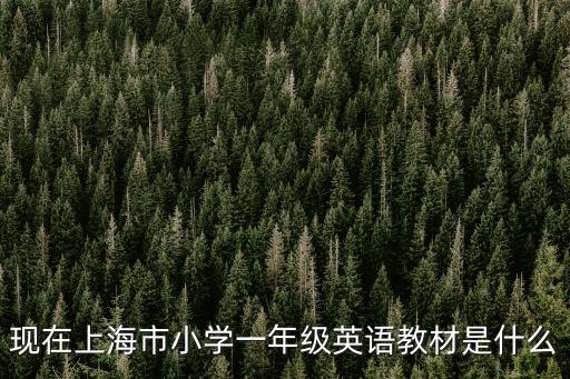 現在上海市小學一年級英語教材是什么