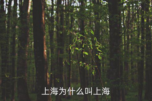 上海為什么叫上海