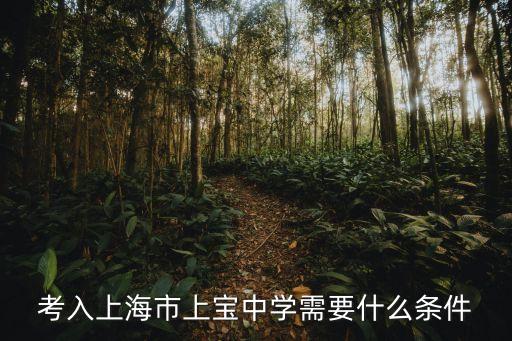 上海市市西初中 上寶中學，考入上海市上寶中學需要什么條件