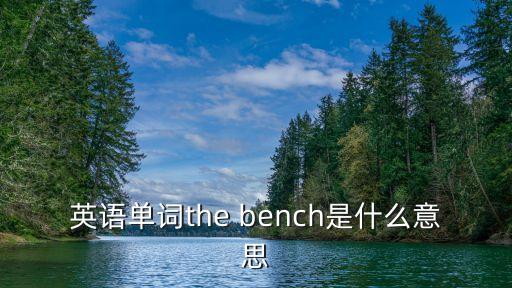 英語單詞the bench是什么意思