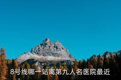 八號線到上海市第九人民醫院，八號線到上海市第九人民醫院哪站下