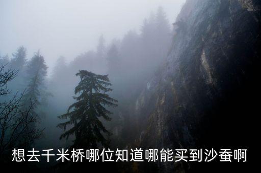 想去千米橋哪位知道哪能買(mǎi)到沙蠶啊