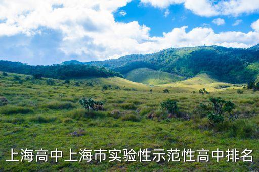 上海市重點中學排名靠后的，上海高中上海市實驗性示范性高中排名