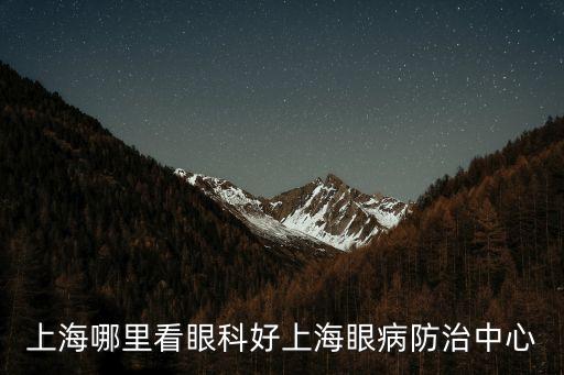 上海哪里看眼科好上海眼病防治中心