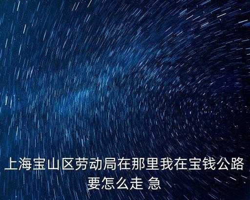 上海寶山區勞動局在那里我在寶錢公路要怎么走 急