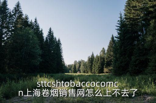 上海市煙草企業內部門戶網站，上海卷煙銷售網怎么打不開了 其他網站全打的開的