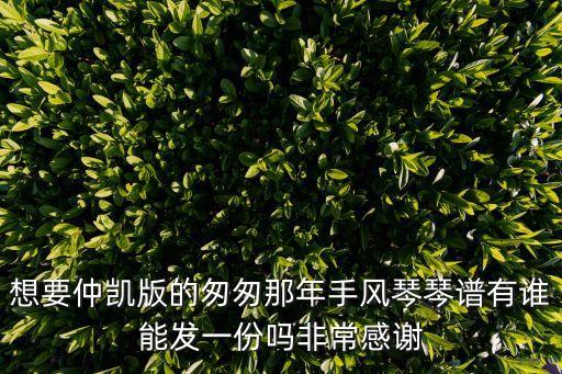 想要仲凱版的匆匆那年手風琴琴譜有誰能發一份嗎非常感謝