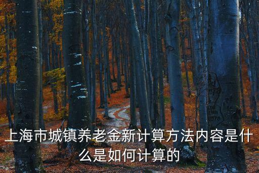 上海市城鎮養老金新計算方法內容是什么是如何計算的