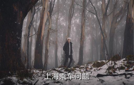上海乘車問題