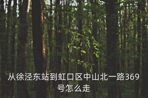 從徐涇東站到虹口區中山北一路369號怎么走