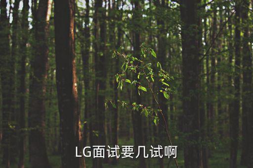 LG面試要幾試啊