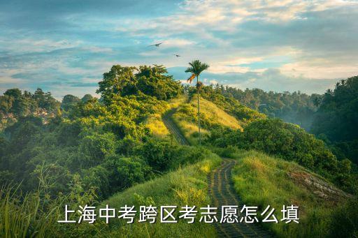 外區(qū)報考上海市八中學(xué)志愿怎么填，上海中考跨區(qū)考志愿怎么填