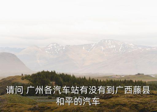 請問 廣州各汽車站有沒有到廣西藤縣和平的汽車