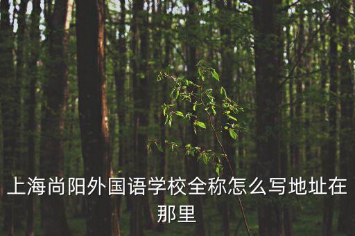 上海市上外尚陽學校，上海尚陽外國語學校全稱怎么寫地址在那里