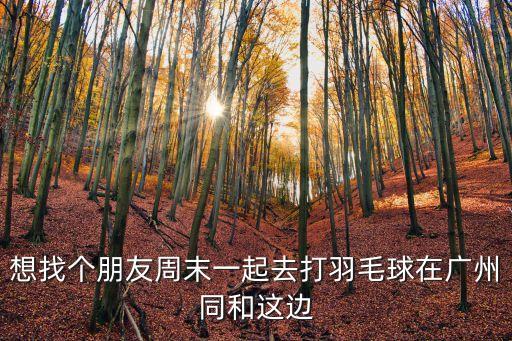 廣州和北控同勝場，廣州到底有幾個同和好急怕去錯地方