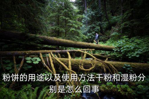 粉餅的用途以及使用方法干粉和濕粉分別是怎么回事