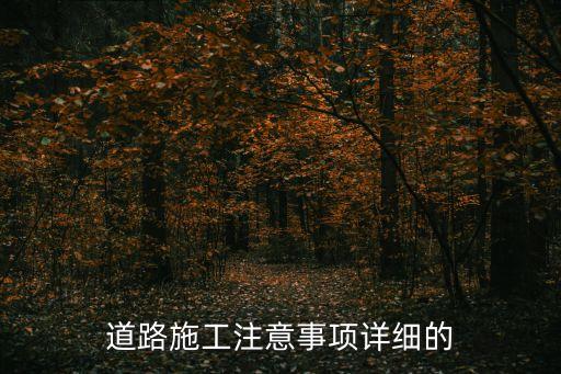道路施工注意事項詳細的