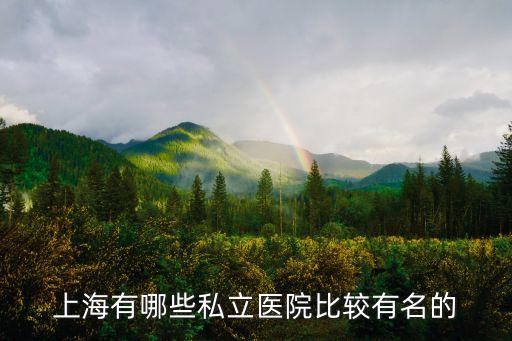 上海市私立醫院目錄，上海有幾家民營醫院