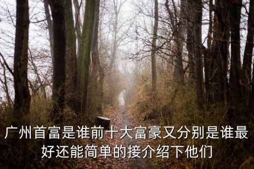 廣州三大富豪排名，廣州首富是誰前十大富豪又分別是誰最好還能簡單的接介紹下他們