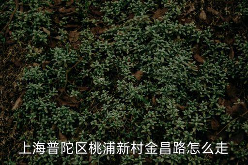 上海市金昌西路，上海金昌西路貨車限行嗎