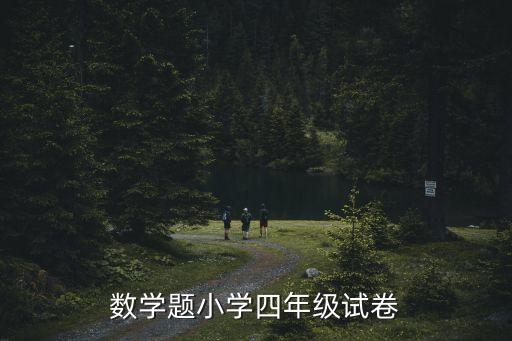 2018上海市四年級考卷，數學題小學四年級試卷