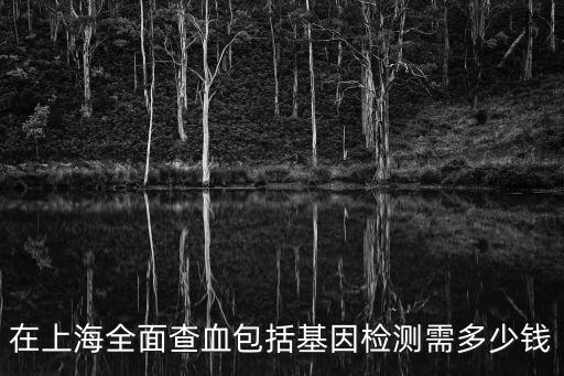 在上海全面查血包括基因檢測需多少錢
