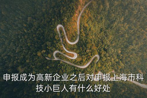 上海市科技小巨人補助，上海的創業者去哪查看扶持政策呢