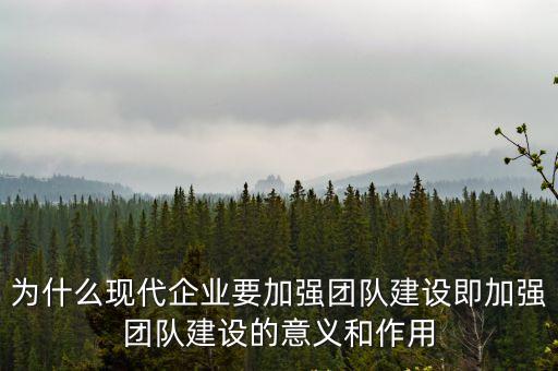 為什么現代企業要加強團隊建設即加強團隊建設的意義和作用