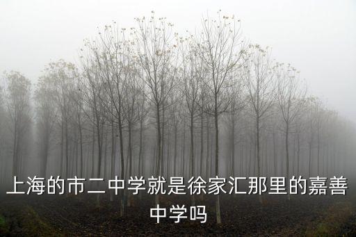 上海的市二中學就是徐家匯那里的嘉善中學嗎