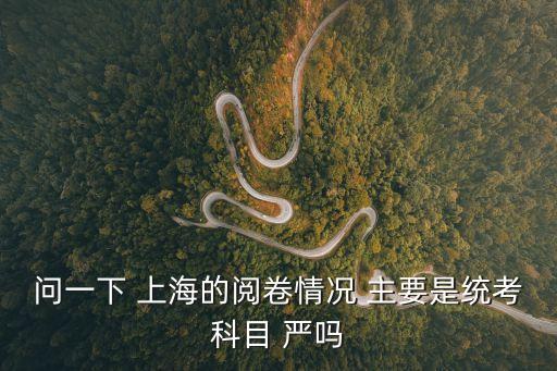 問(wèn)一下 上海的閱卷情況 主要是統(tǒng)考科目 嚴(yán)嗎