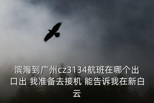 濱海到廣州cz3134航班在哪個(gè)出口出 我準(zhǔn)備去接機(jī) 能告訴我在新白云