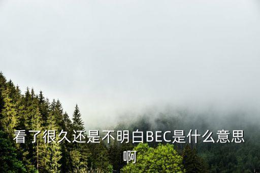 bec是什么，BEC是什么具體點(diǎn)