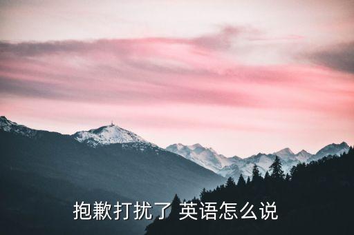 抱歉打擾了，抱歉打擾了 英語怎么說