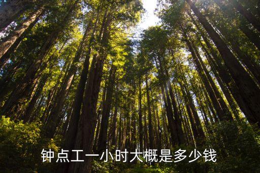 上海市區鐘點工價格，上海鐘點工工資