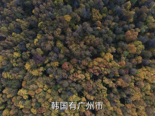 廣州在韓國有多少城市，韓國有廣州市