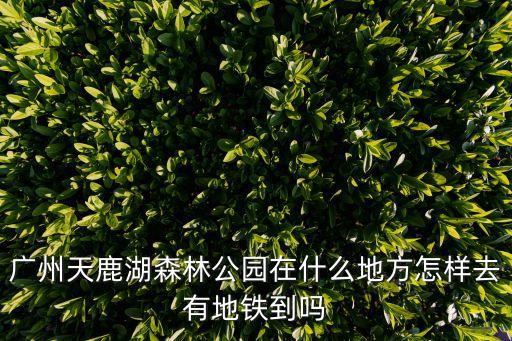 廣州天鹿湖森林公園幾號車到，廣州天鹿湖森林公園 有什么公交車可以去到附近