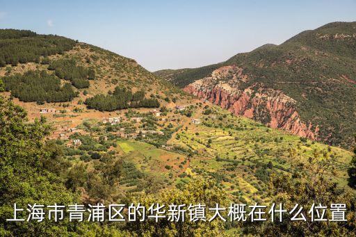 上海市青浦區的華新鎮大概在什么位置