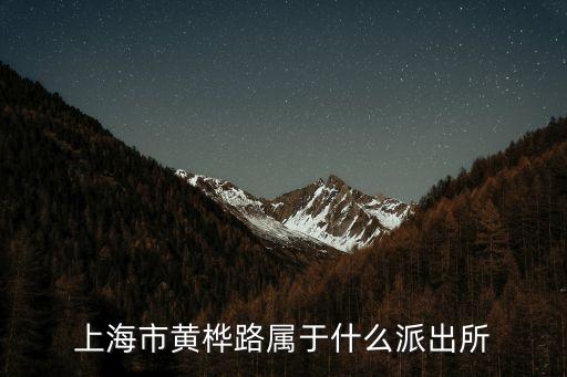 上海市黃樺路屬于什么派出所