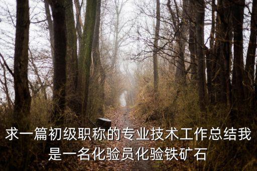 求一篇初級職稱的專業(yè)技術(shù)工作總結(jié)我是一名化驗員化驗鐵礦石