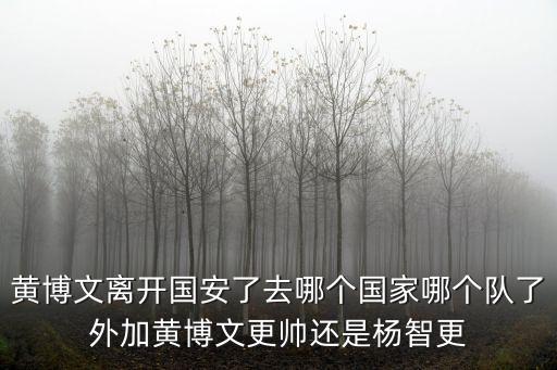 黃博文離開國安了去哪個國家哪個隊了外加黃博文更帥還是楊智更