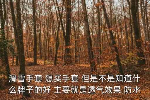 滑雪手套，去滑雪帶怎樣的手套最好