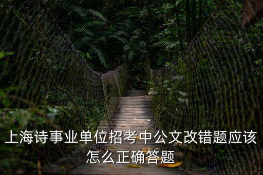 上海詩事業單位招考中公文改錯題應該怎么正確答題