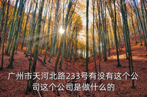 廣州市天河北路233號有沒有這個公司這個公司是做什么的