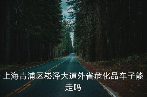 上海青浦區崧澤大道外省危化品車子能走嗎