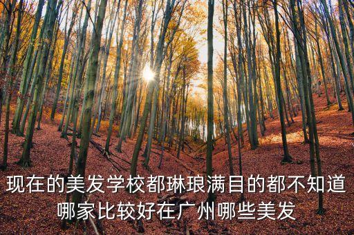 廣州燙染培訓學校哪家好，廣州最好的美發學校有哪幾家誰推薦謝謝