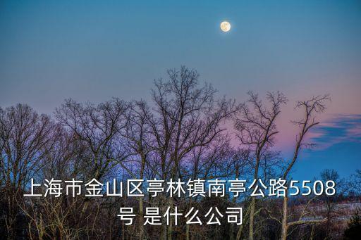 上海市金山區亭林鎮南亭公路5508號 是什么公司