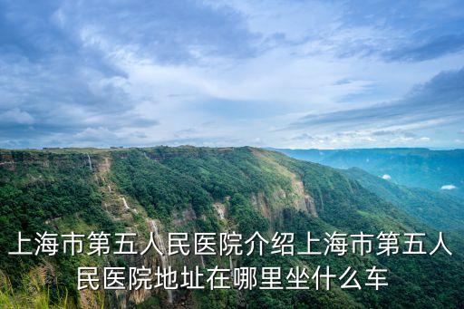 上海市第五人民醫(yī)院介紹上海市第五人民醫(yī)院地址在哪里坐什么車