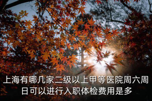 上海有哪幾家二級以上甲等醫(yī)院周六周日可以進行入職體檢費用是多