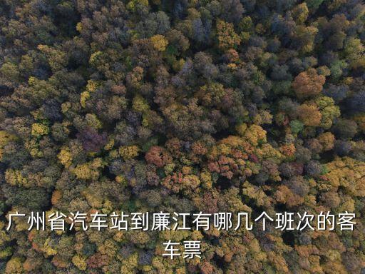 廣州省汽車站到廉江有哪幾個班次的客車票